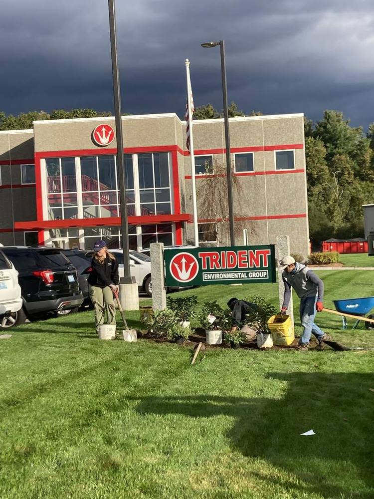 Ten Four crew, a landscaper based in Wrentham, MA, planting shrubs at a commercial entrance
