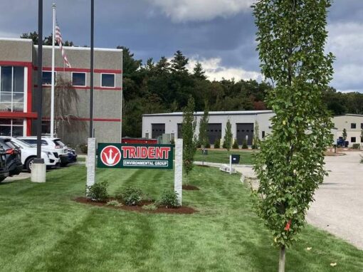 New tree and mulch ring on a striped lawn at a commercial office park