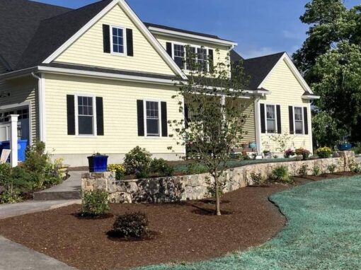 Hydroseeding along a driveway in front of a yellow colonial with new beds
