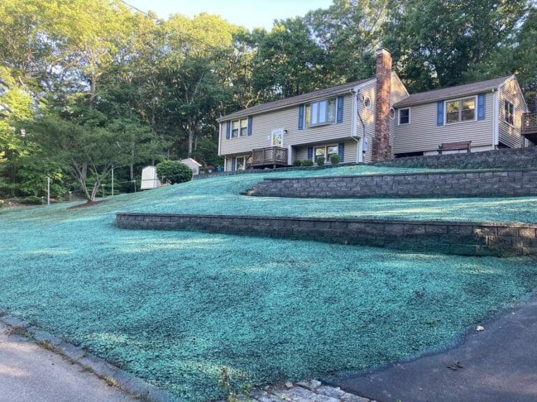 Hydroseeding in Wrentham, Norfolk, Franklin & Foxboro, MA by Ten Four Landscape & Construction