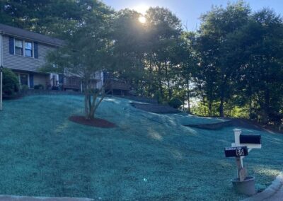 hydroseeding wrentham norfolk franklin foxboro ma 8