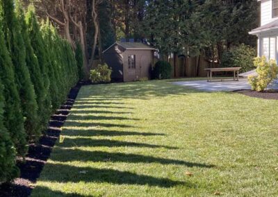 lawn installation wrentham norfolk franklin foxboro ma 10