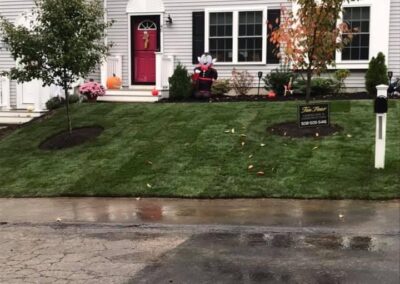 lawn installation wrentham norfolk franklin foxboro ma 19