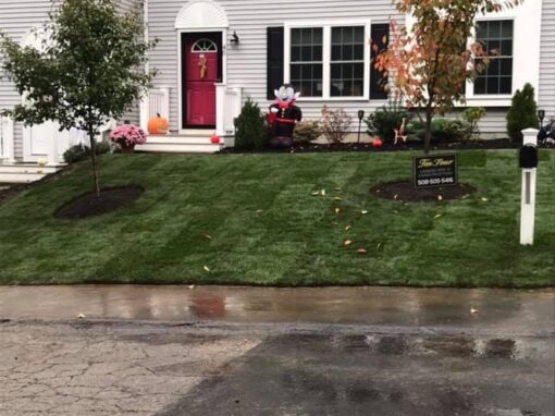 Thick lawn at a townhouse entry; core aeration helps turf like this breathe