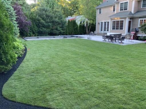 Backyard turf and pool patio bordered by dense shrubs