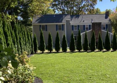 lawn installation wrentham norfolk franklin foxboro ma 7