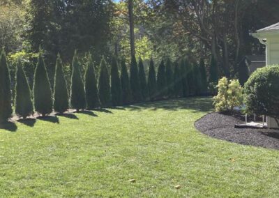 lawn installation wrentham norfolk franklin foxboro ma 8