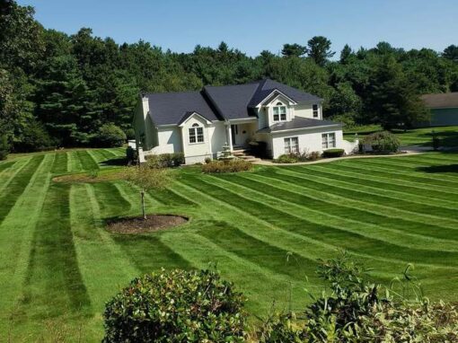 Fresh stripes in the grass in front of a large white home
