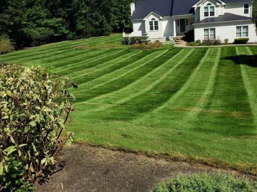 Lawn mowing stripes across a hillside yard below a white home
