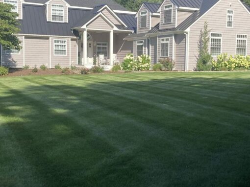 Close-up of even mowing stripes in front of a gray Cape