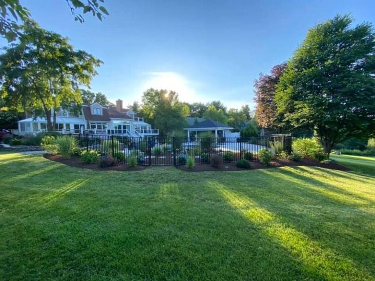 Deep green backyard lawn in Wrentham, Norfolk, Franklin & Foxboro, MA, the result our fertilizer programs aim for
