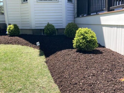 Fresh dark mulch and a crisp bed edge along the house and deck
