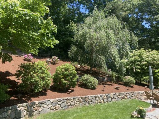 Tiered hillside beds with a weeping tree above a fieldstone wall