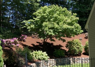 mulch edging wrentham norfolk franklin foxboro ma 4