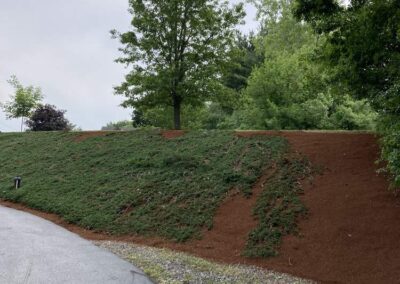 planting wrentham norfolk franklin foxboro ma 11