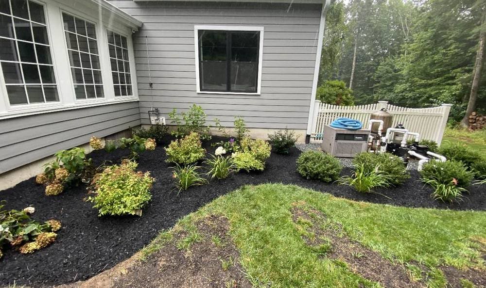 Tree & Shrub Care in Wrentham, Norfolk, Franklin and Foxboro MA