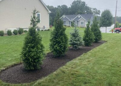 planting wrentham norfolk franklin foxboro ma 18