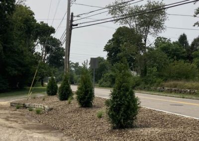 planting wrentham norfolk franklin foxboro ma 2