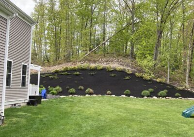 planting wrentham norfolk franklin foxboro ma 20