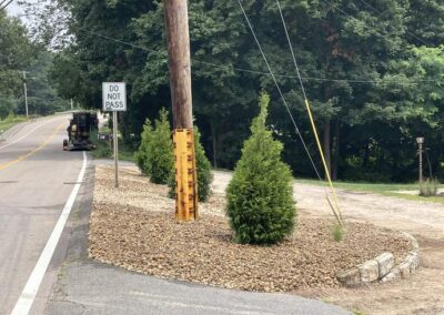 planting wrentham norfolk franklin foxboro ma 3