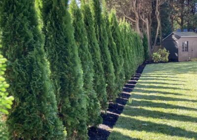 planting wrentham norfolk franklin foxboro ma 6