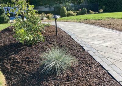 planting wrentham norfolk franklin foxboro ma 8
