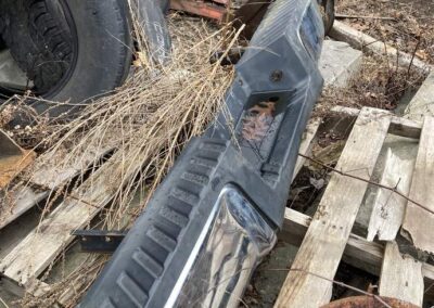 spring fall clean up wrentham norfolk franklin foxboro ma 1