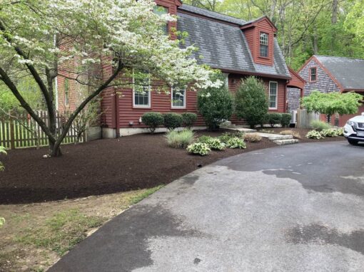 Clean, freshly topped beds along a driveway at a red Cape in spring