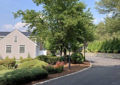 tree shrub care wrentham norfolk franklin foxboro ma 1