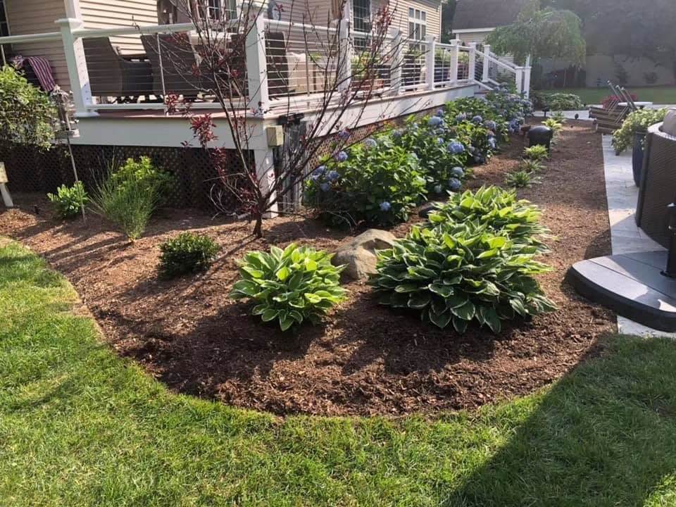 pine mulch in Foxborough MA from Ten Four Landscape Supply